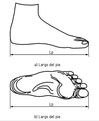 pie-cic.jpg?compress=true&quality=80&w=360&dpr=1.5