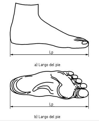 pie-cic.jpg?compress=true&quality=80&w=360&dpr=1.5